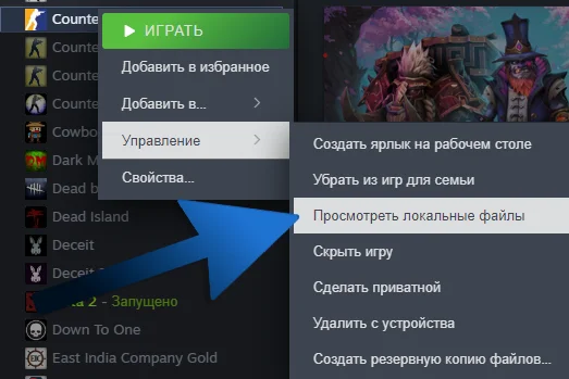 How to open CS2 folder